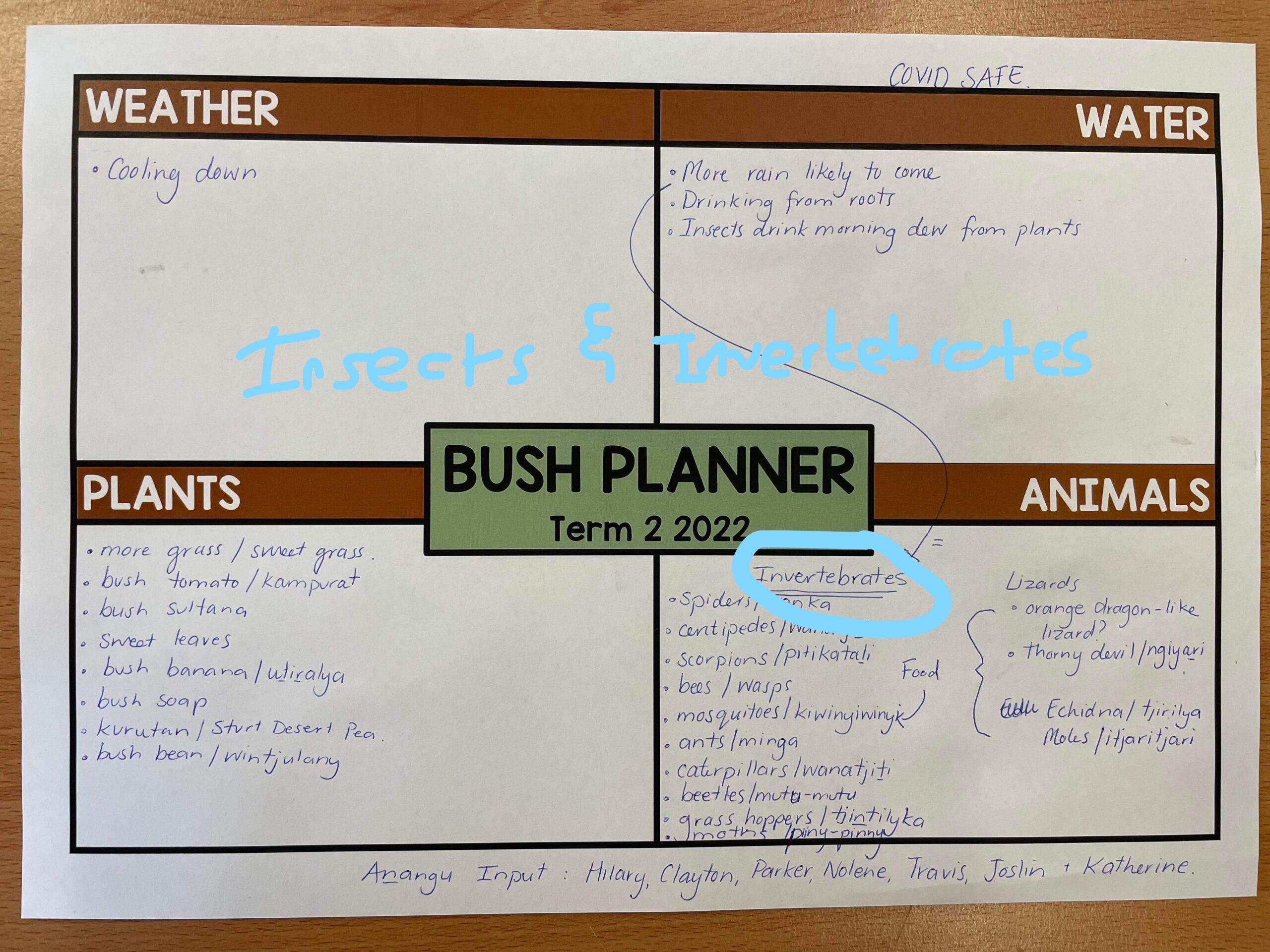 bush planning exemplar 3