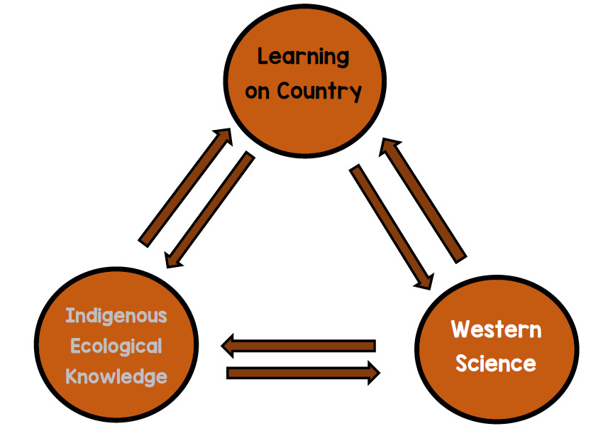 two-way-learning-top-image
